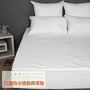 【麗塔寢飾】雙人(5X6.2) 床包式 防水透氣保潔墊