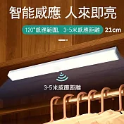 CS22 USB充電磁吸式LED人體智能感應燈-21CM 暖光