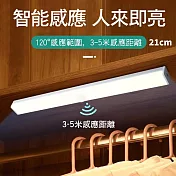 CS22 USB充電磁吸式LED人體智慧感應燈-21CM 暖光