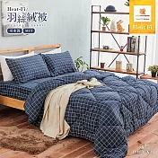 【DUYAN 竹漾】Heat-Fi 可水洗羽絲絨被 / 格陵藍