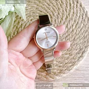 ANNE KLEIN安妮克萊恩精品錶,編號：AN00507,32mm圓形玫瑰金精鋼錶殼銀色錶盤精鋼銀色錶帶