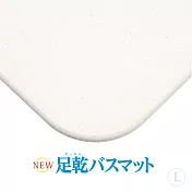 日本製 Fujiwara 足乾 珪藻土浴室踏墊 L 55x43cm 吸水快乾 可清洗 不含石綿