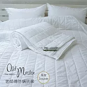 【麗塔寢飾】雙人 厚度Double- 分離式春夏薄被胎 (防蹣抗菌可水洗)