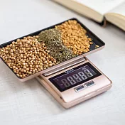 《Taylor》料理秤 食物秤 烘焙秤 | 便攜式料理電子秤(500g) 便攜式料理電子秤(500g)