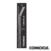 美國CORKCICLE 不鏽鋼吸管-顏色任選 銀