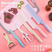 小麥秸馬卡龍色六件刀具組