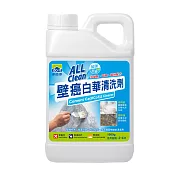 多益得ALL Clean壁癌白華清洗劑1000ml 3入組