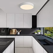 H&R安室家 40cm小圓圓智能LED吸頂燈ZA0206 (附遙控器可調明暗及色溫 ) 白