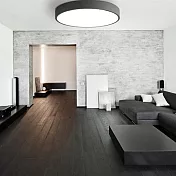 H&R安室家60cm大圓圓智能LED吸頂燈ZA0208 (附遙控器可調明暗及色溫 ) 灰色