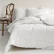 澳洲Simple Living 單人天絲可水洗舒眠四季被