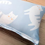 《Embrace英柏絲》100%純天絲 小長抱枕 100x30cm 情人節 聖誕節 交換禮物(多色任選) 小貓喵喵