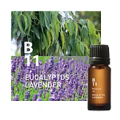 @aroma Botanical Air 植物系列 精油  （桉樹薰衣草、10ml）