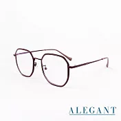 【ALEGANT】北歐極簡鹿角棕金屬鑲嵌輕量TR90光學框UV400濾藍光眼鏡