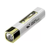 MasterLuz-G38強光迷你可充電LED手電筒 金色