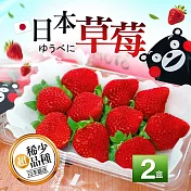 【優鮮配】季節限定-日本空運夢幻草莓2箱(500g/箱)免運組