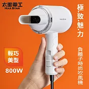 【太星電工】MAX STAR 負離子時尚吹風機(800W) HN800