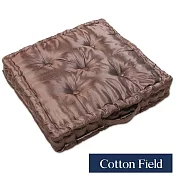 棉花田【晶讚】變色龍絲光立體胖胖坐墊-3色可選(二件組) 古金色