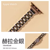 細版 柔光相間不鏽鋼錶帶 38/40/41mm Apple watch通用錶帶 赫拉金銀