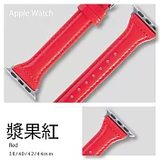 典雅復古窄版皮革錶帶 Apple watch通用錶帶 38/40/41mm漿果紅