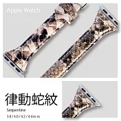 典雅復古窄版皮革錶帶 Apple watch通用錶帶 38/40/41mm律動蛇紋
