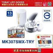 日本東麗 淨水器快速淨水組 MK307SMX-TRY 總代理貨品質保證