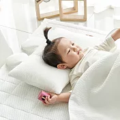 韓國Hello HiZoo 3D Aqua Mesh涼感兔耳造型抗菌雙面枕/涼感枕/護脊/護頸枕
