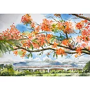 【玲廊滿藝】張偉鈺-潮州鳳凰花38x26cm