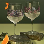【德國 RITZENHOFF】暗影視界系列- 蝴蝶與鸛高腳水晶對杯 /720 ml