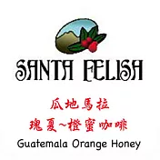 樹有風咖啡『瓜地馬拉．瑰夏-橙蜜』