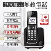 【國際牌Panasonic】DECT中文顯示數位無線電話 KX-TGD310TWB