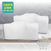 【AGAPE 亞加．貝】臺灣製《天絲舒柔記憶枕》(防蟎、抗菌、舒適、透氣)