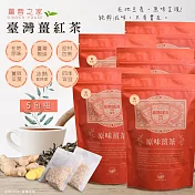 【薑蓉之家】GINGER TER養身薑茶茶包/薑紅茶*100入(20入*5包)