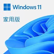 ESD-Microsoft 微軟 Win Home 11 家用下載版