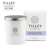 【Tilley 皇家特莉】澳洲原裝微醺大豆香氛蠟燭240g-塔斯馬尼亞薰衣草