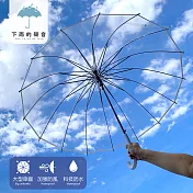 【下雨的聲音】日本訂單16骨防風加厚透明直傘長柄傘(二色) 白色