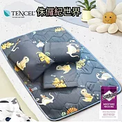 DF童趣館 - 台灣製TENCEL天絲兒童涼感舒眠睡墊睡袋三件組 - 多款可選 侏儸紀世界