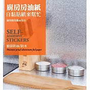 CS22 自粘式可裁剪防塵防潮防油鋁箔貼紙