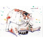 【玲廊滿藝】宮原千佳子（Chika）-流浪貓爺爺13x18cm