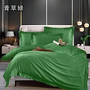 【Galatea葛拉蒂】100支100%素色萊賽爾天絲雙人兩用被床包四件組- 青草綠
