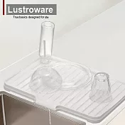 【Lustroware】日本巖崎瀝水盤(附瓶架) 白/綠(原廠總代理) 白色