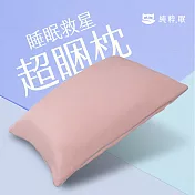 【純粹。眠】馬卡龍系-超睏枕 天絲滑順觸感 （柔嫩粉）