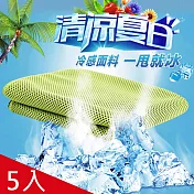 PinUpin 速乾戶外運動冰涼巾(附拉鍊袋)5入組 5色各一