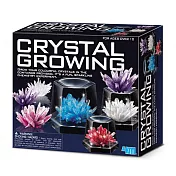 【4M】神奇水晶體豪華組Crystal Growing Experimental Kit