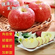 【水果達人】智利富士蜜蘋果禮盒 12顆* 1箱 (220g±10%/顆)