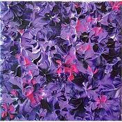 【玲廊滿藝】陳怡蓉 Jenny-錦上添花 系列10x10cm