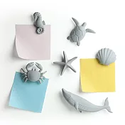 QUALY 海潮之生-磁鐵 二入組 (海龜/海龜)