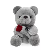 O’Pretty 歐沛媞 浪漫玫瑰花泰迪熊(25cm)-多色可選 神秘灰