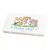 【柴語錄】口罩隨身收納盒 自製款 收納盒 口罩收納 阿吉 太子 春天