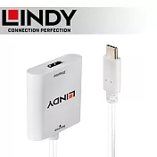 LINDY 林帝 主動式 USB3.1 Type-C to HDMI 2.0 4K@60Hz轉接器 (43247)