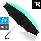 【TDN】超大傘面黑膠公爵冷酷傘 防雷自動直立傘晴雨傘(防風抗UV自動直傘A7594)  蒂芬藍